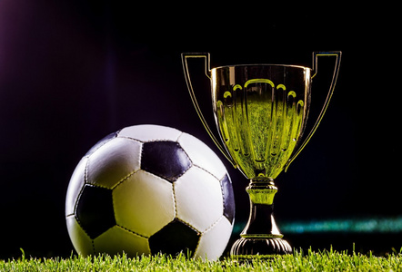 版本与活动 版本与活动